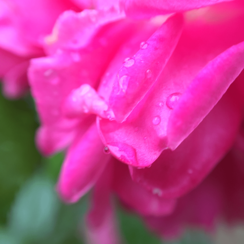 Why Does the&nbsp;Storm