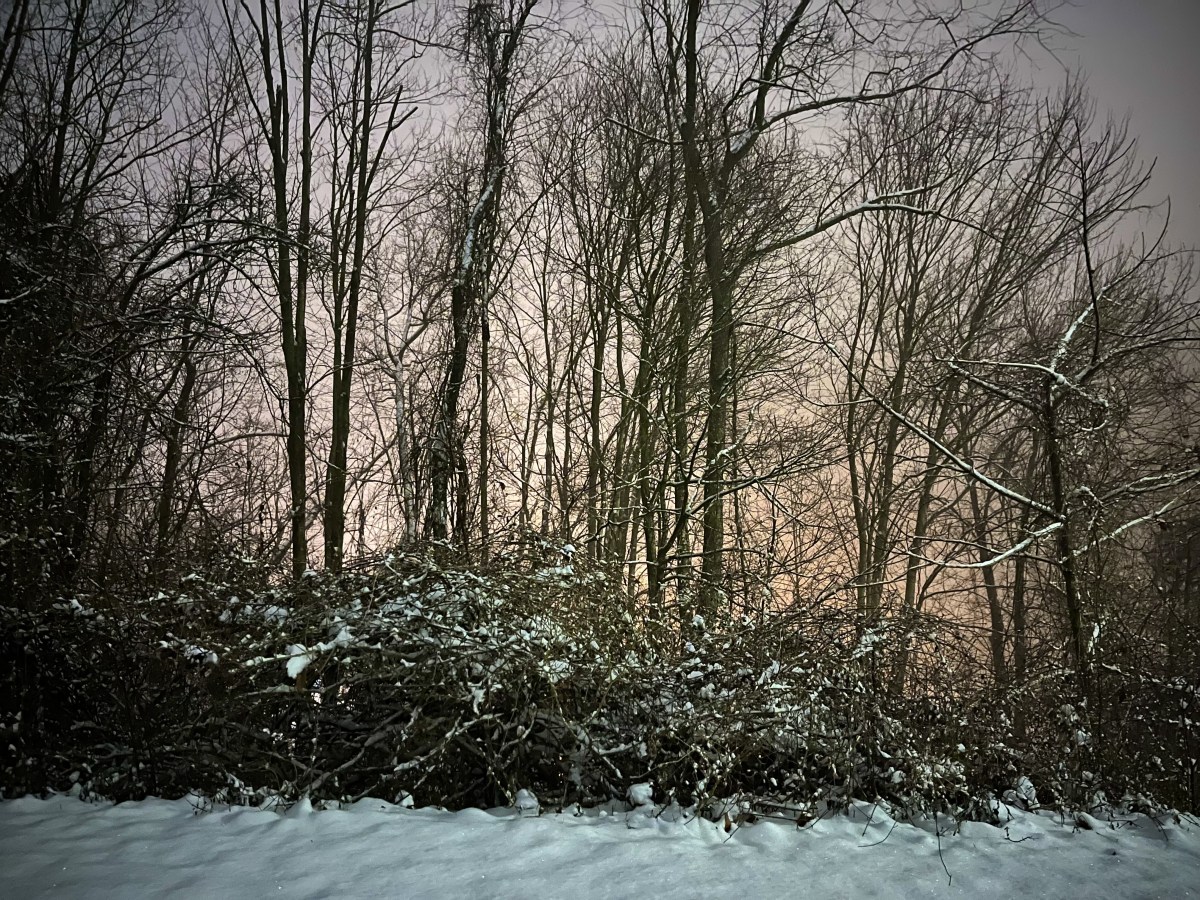 Thinking of My Friend at&nbsp;Dusk